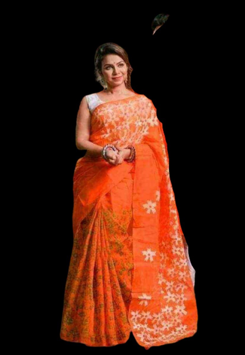 Half Silk Block Print Sari for Women